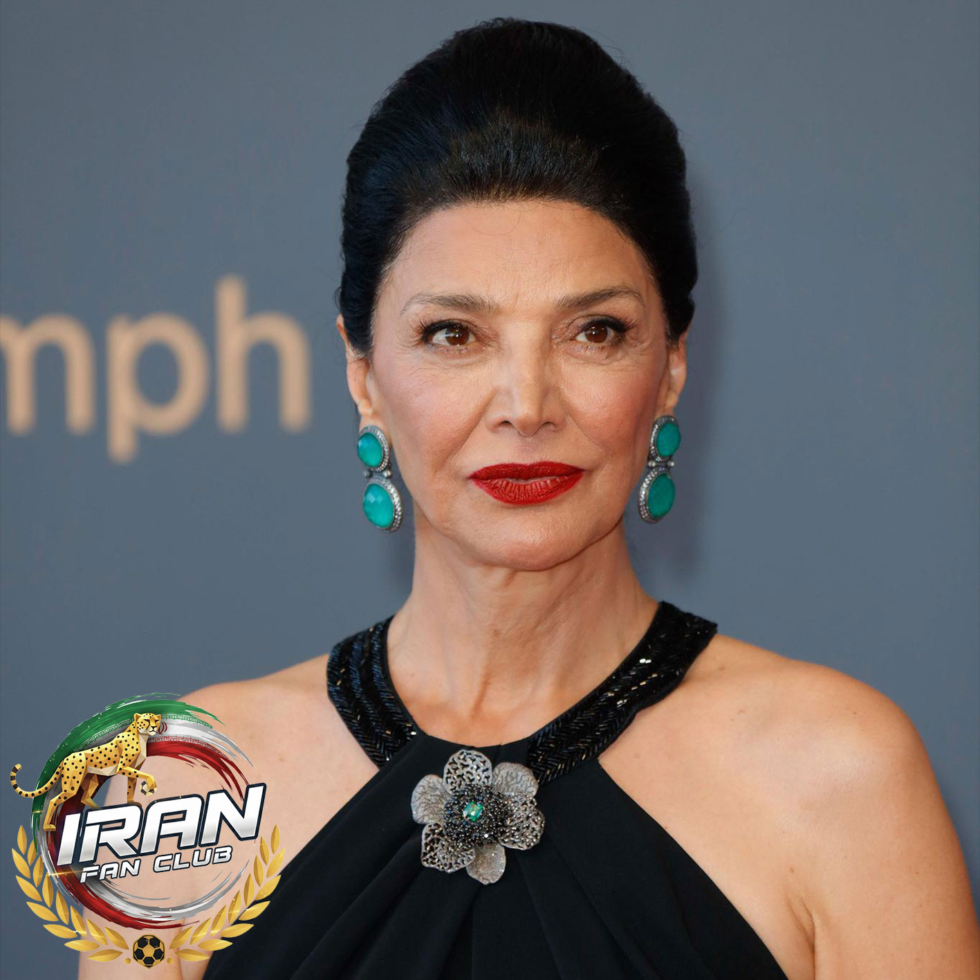شهره آغداشلو (Shohreh Aghdashloo)